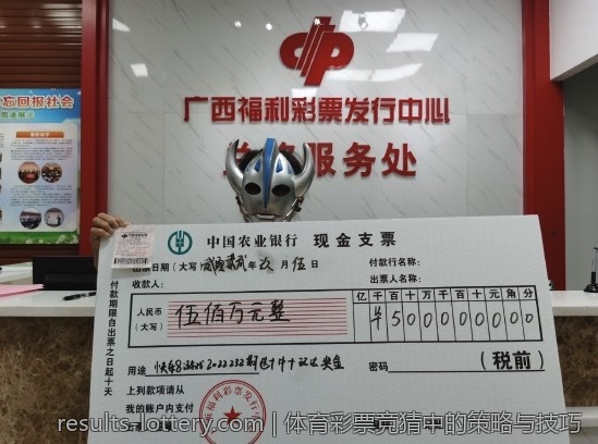 中国体育彩票的投注技巧与策略分析